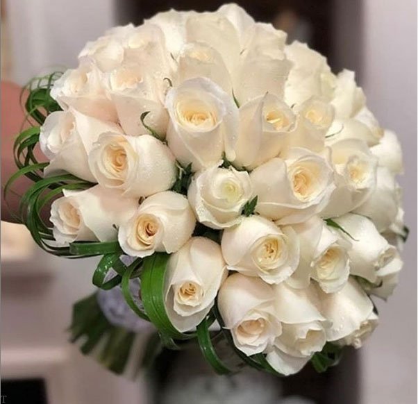 چرا گل سیزه در ارومیه بهترین انتخاب برای گل‌آرایی و هدیه دادن است؟